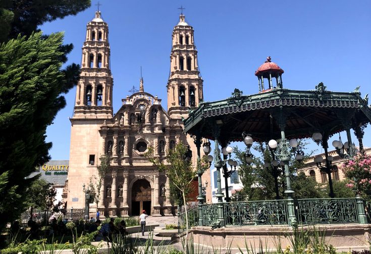 Odoo • Imagen y texto